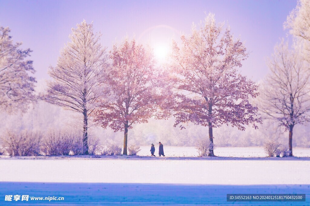 雪景