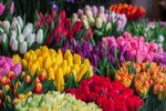 花店鲜花