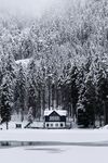 林间雪景