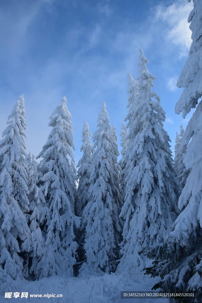 雪景