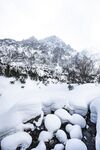 野外雪景