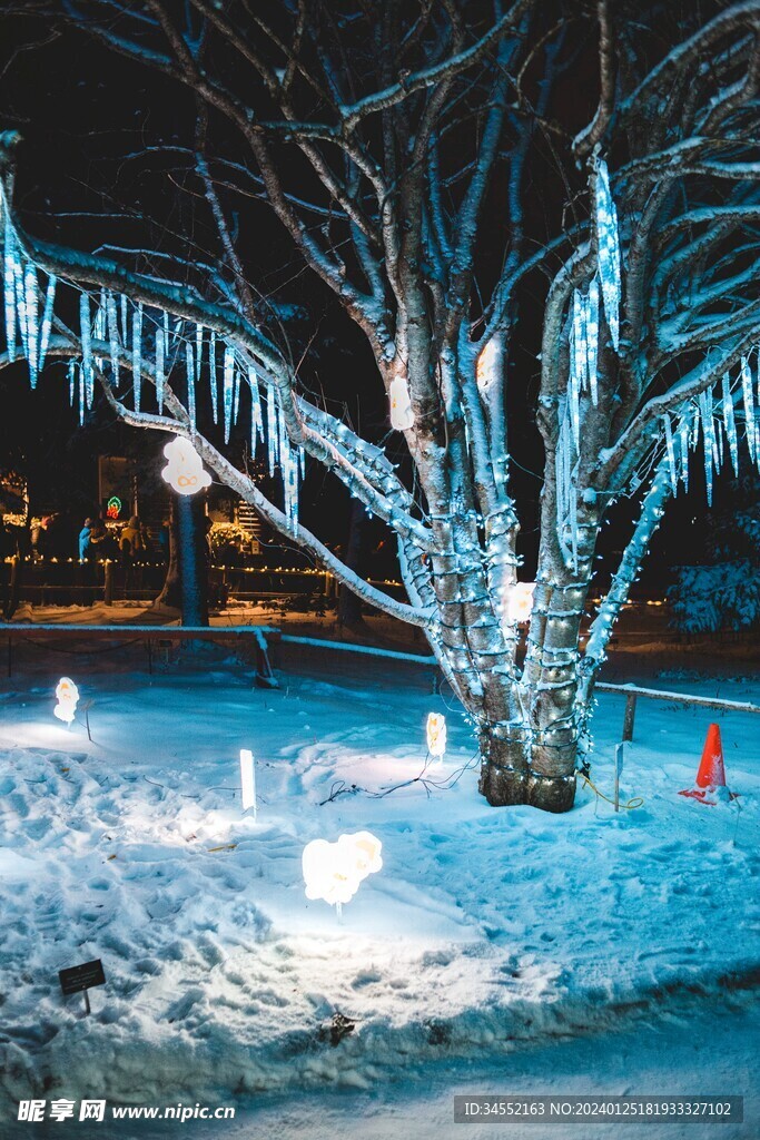 夜间雪景