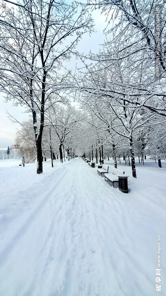 雪景