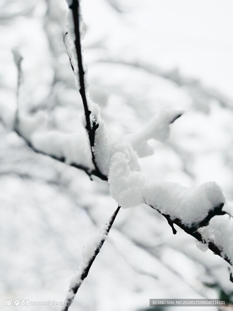 雪