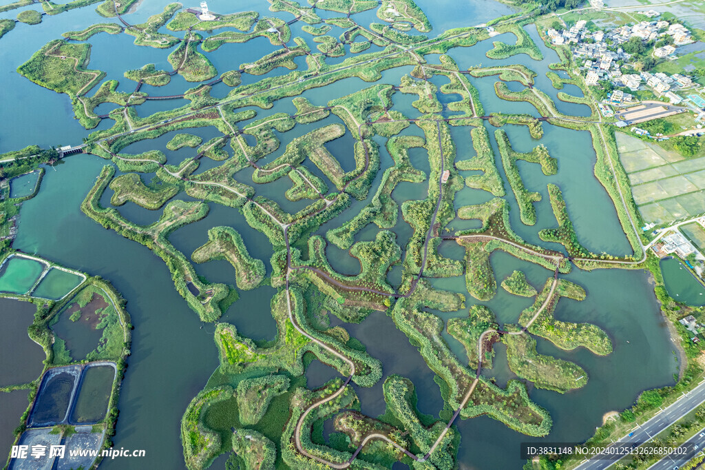 海口迈雅河湿地公园 