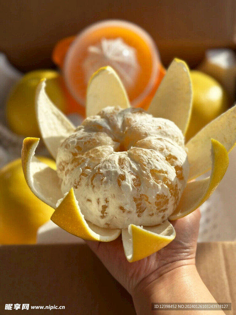 葡萄柚