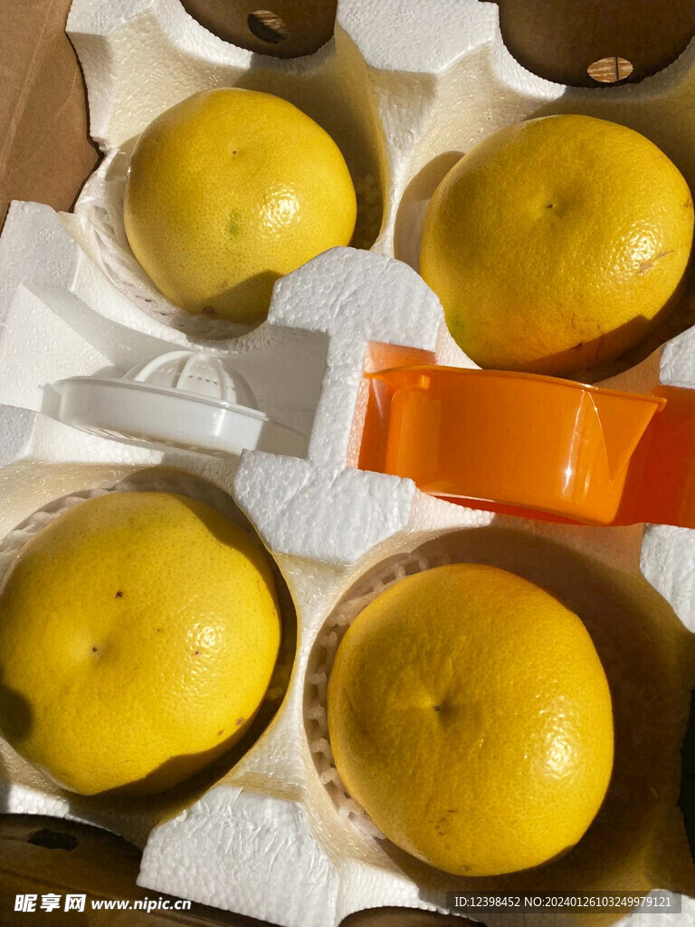葡萄柚