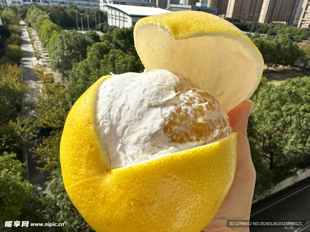 葡萄柚
