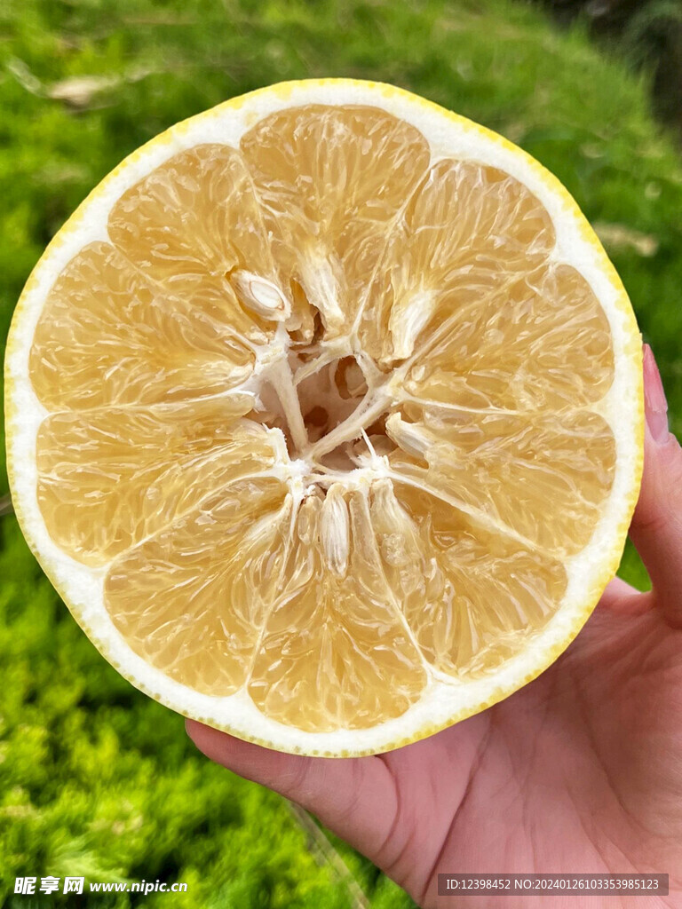 葡萄柚