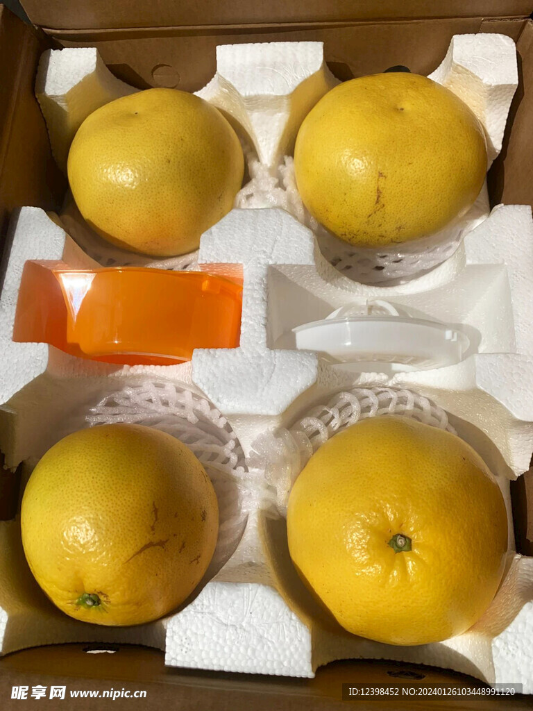 葡萄柚