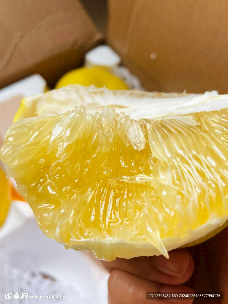 葡萄柚