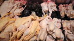 肉禽