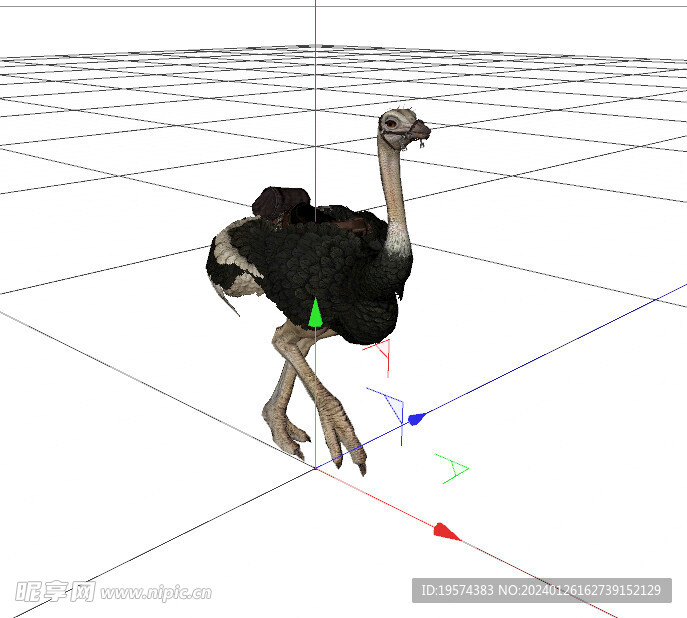 C4D模型 鸵鸟