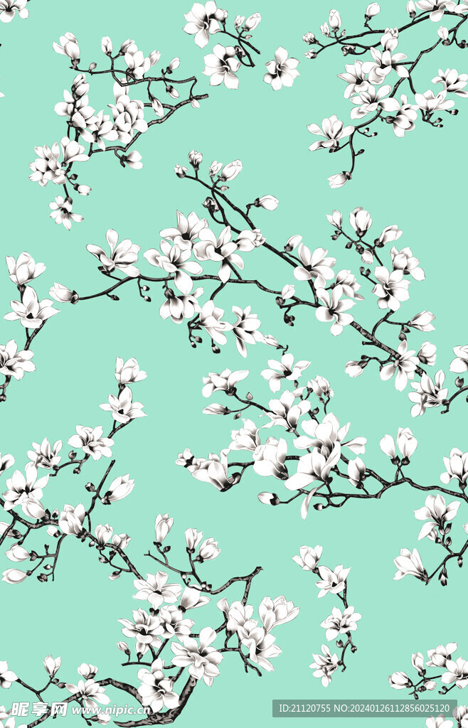 玉兰花
