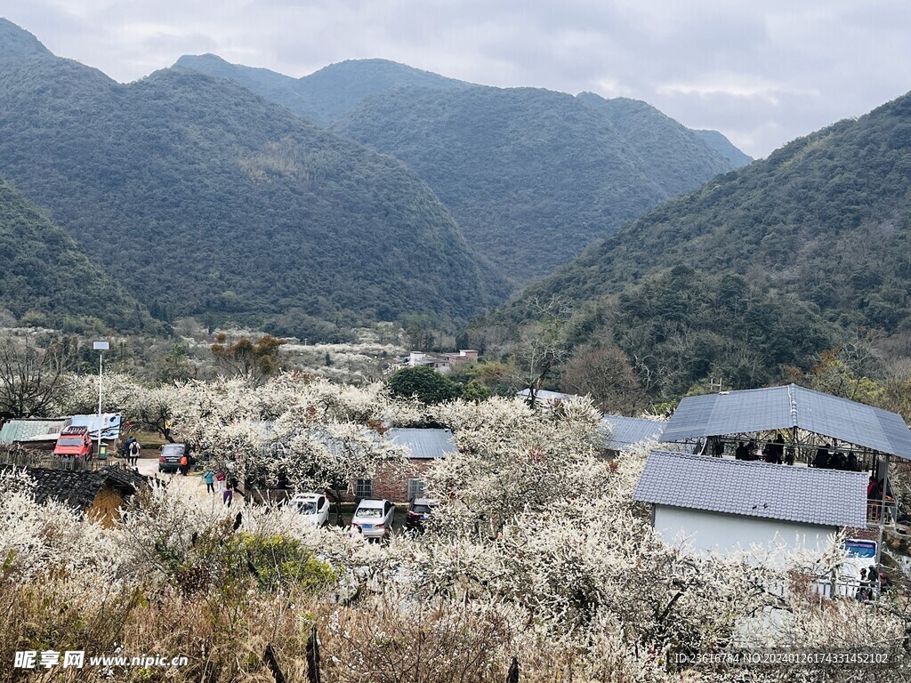 山风景