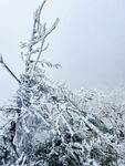 雪