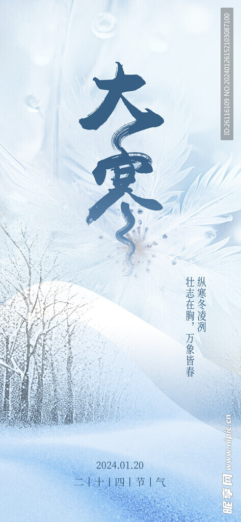 大寒  蓝色  国风   二十