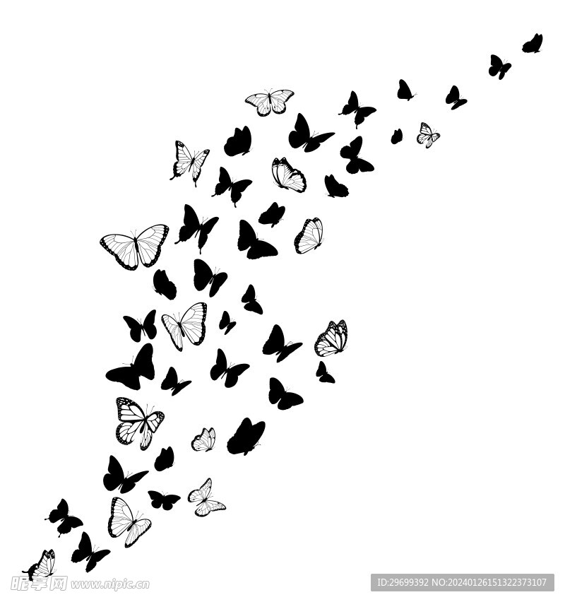 蝴蝶