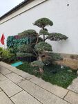明清建筑