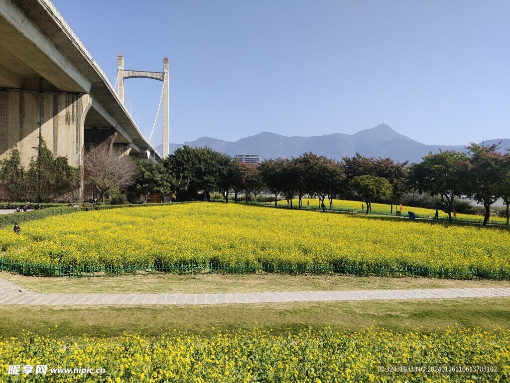 福州花海公园