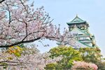 桃花楼阁