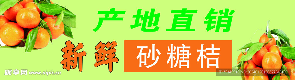 砂糖橘广告部