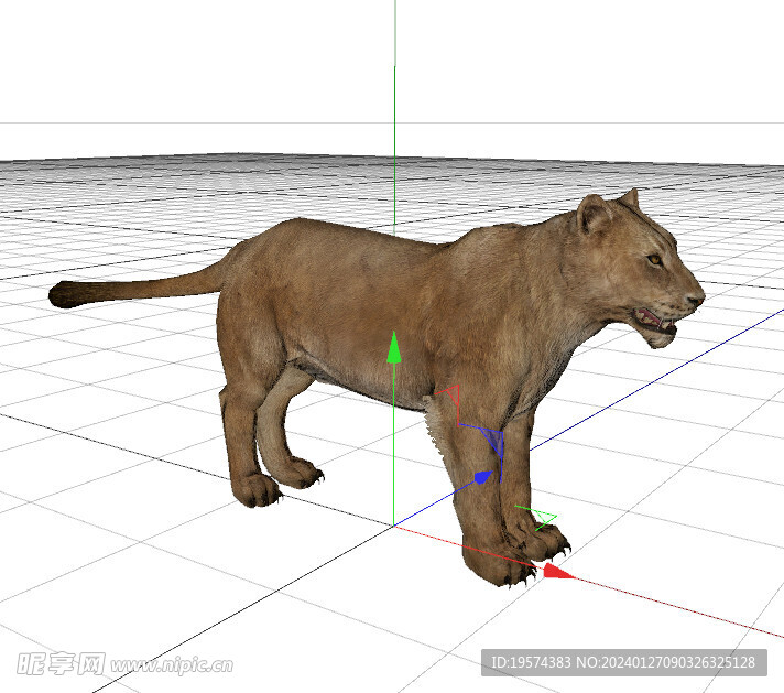 C4D模型 狮子