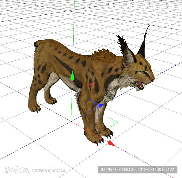 C4D模型 猞猁