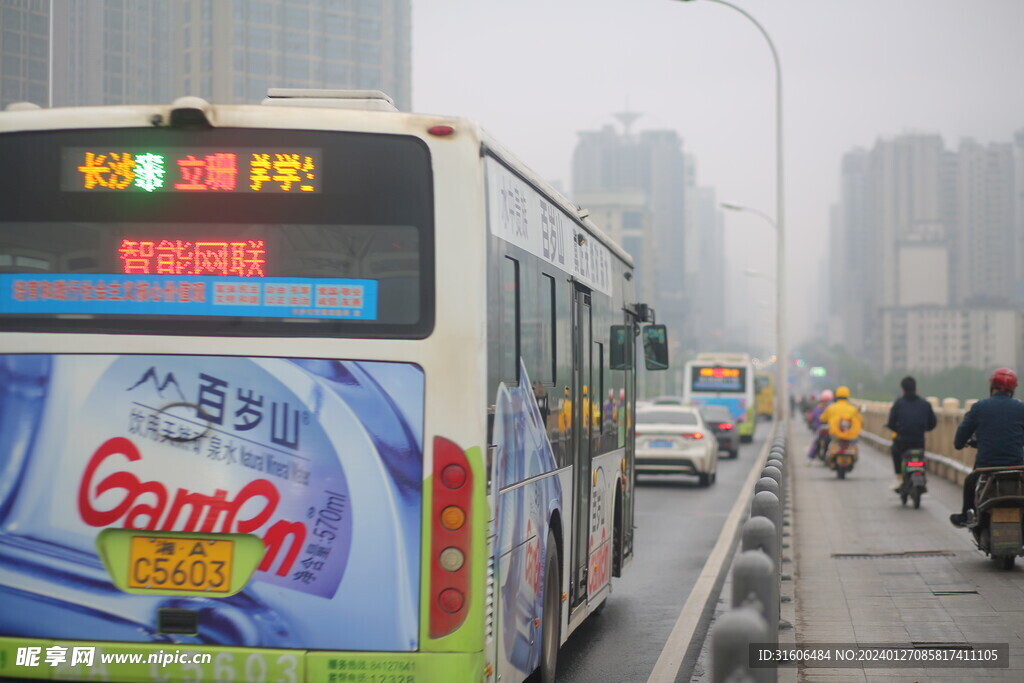 道路 汽车