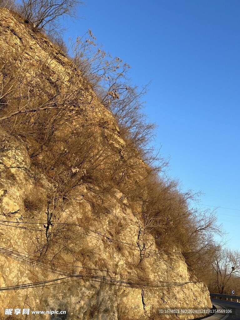 山