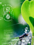 立春