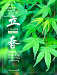 立春