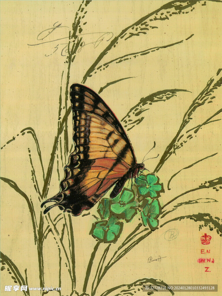 蝴蝶