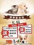 宠物驱虫