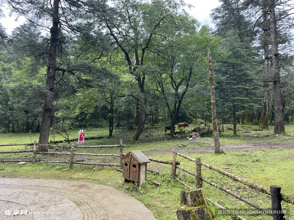 玉龙雪山