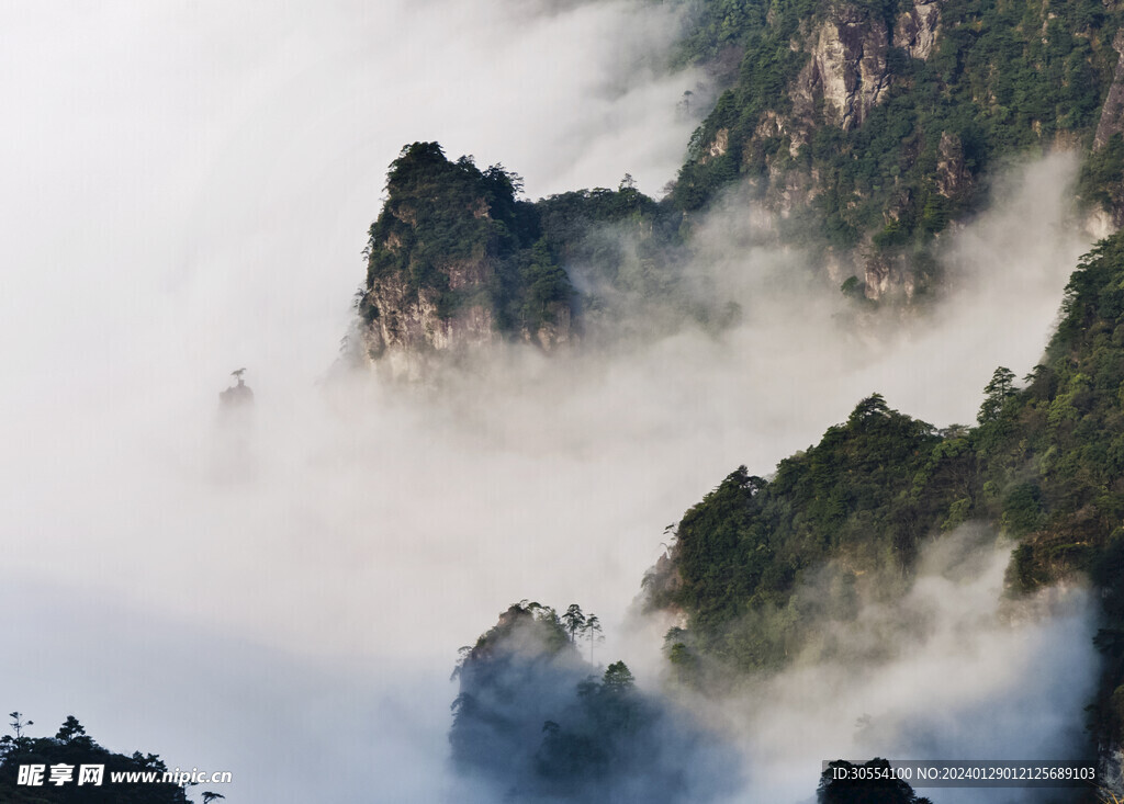 美丽湖泊山峰森林风景图片