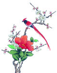 花鸟
