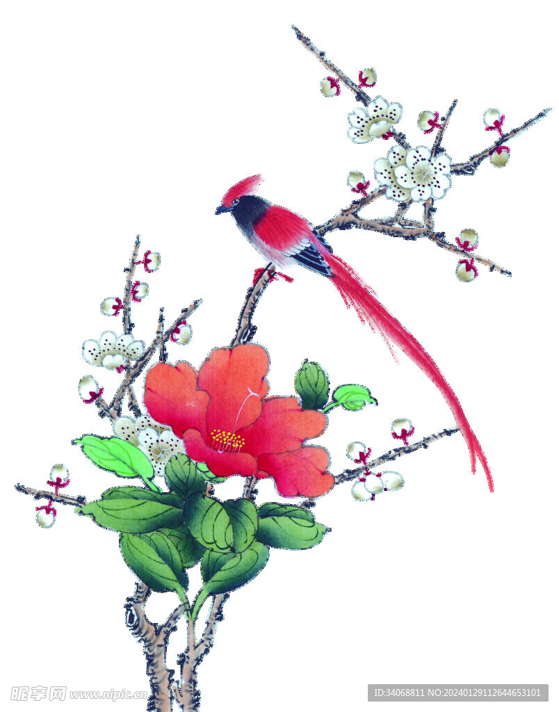 花鸟