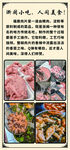 福鼎肉丸