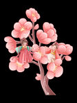 立春春季元素