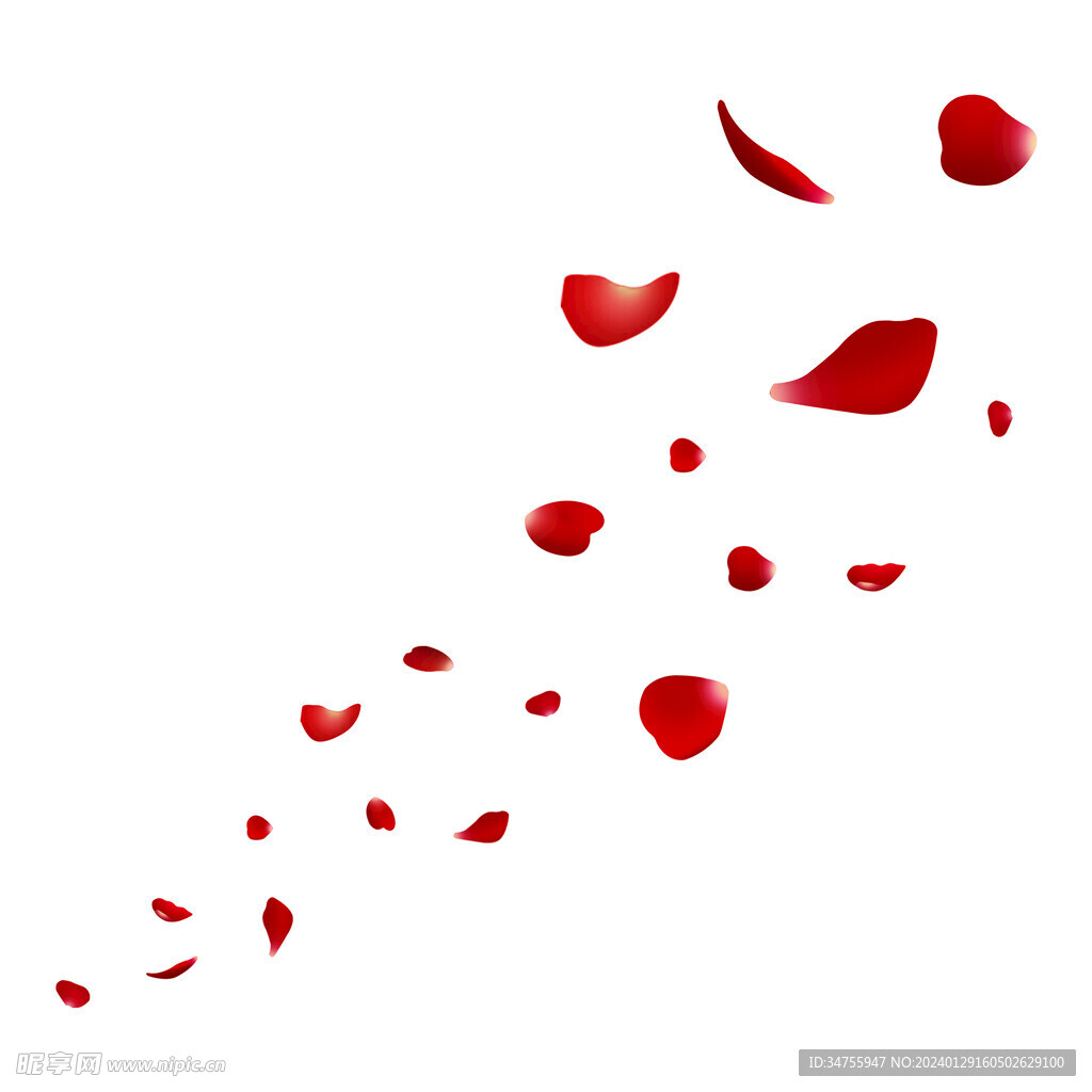 玫瑰花瓣