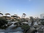 园林景观