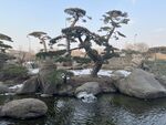 园林设计
