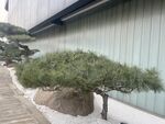 艺术馆建筑