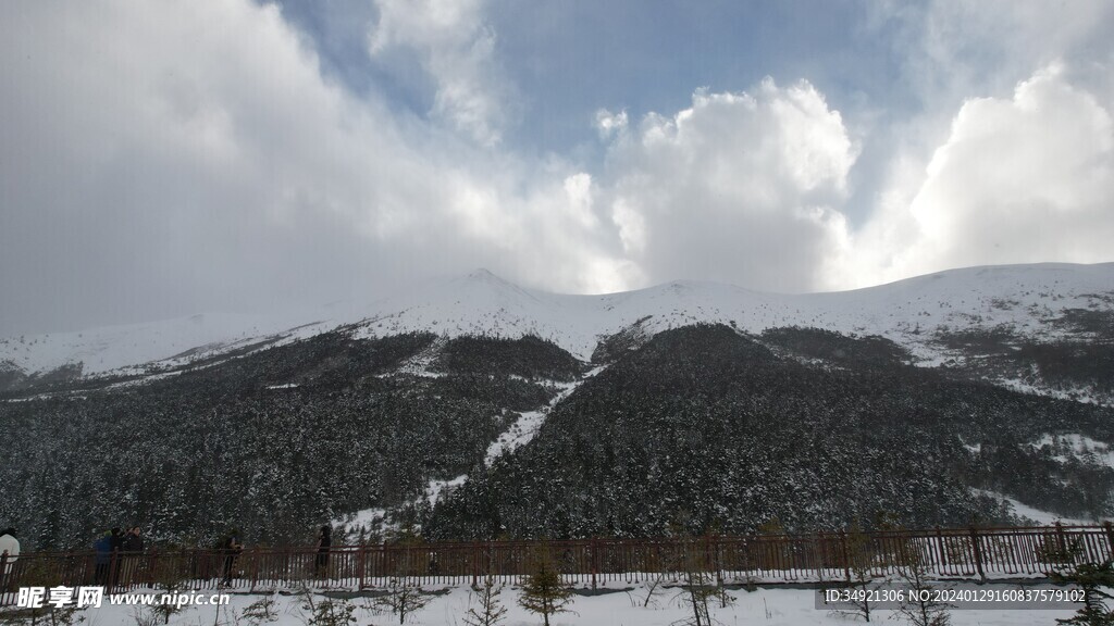 白马雪山下雪了