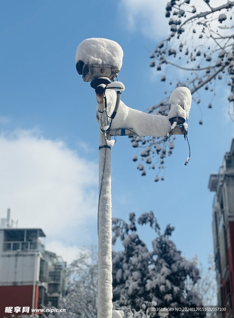 大雪