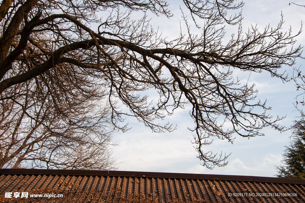 镇原县风景摄影