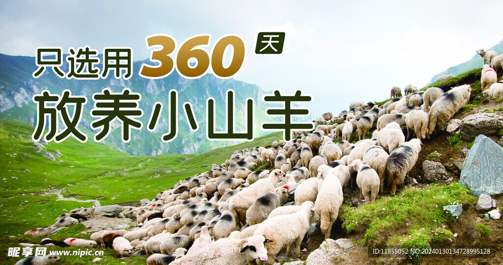 山羊