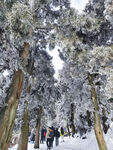 衡山