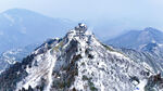 山